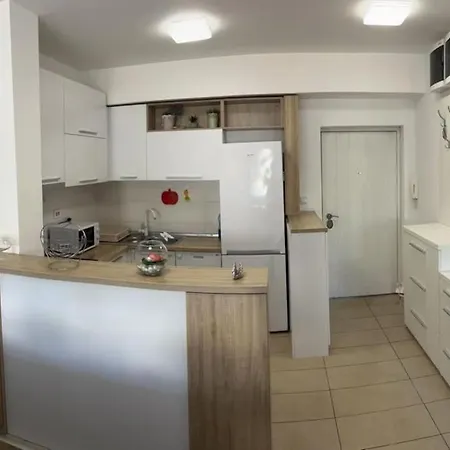 Prime Urban Elegance In